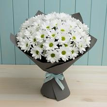Букет цветов из:  Хризантемы в Каякенте
