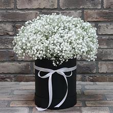 Цветочная композиция из Гипсофила в шляпной коробке в Каякенте