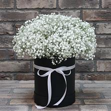 Цветочная композиция из Гипсофила в шляпной коробке в Каякенте