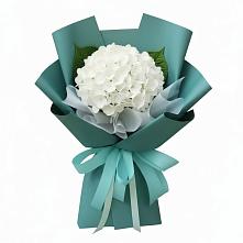 Букет цветов из:  Гортензия в Каякенте